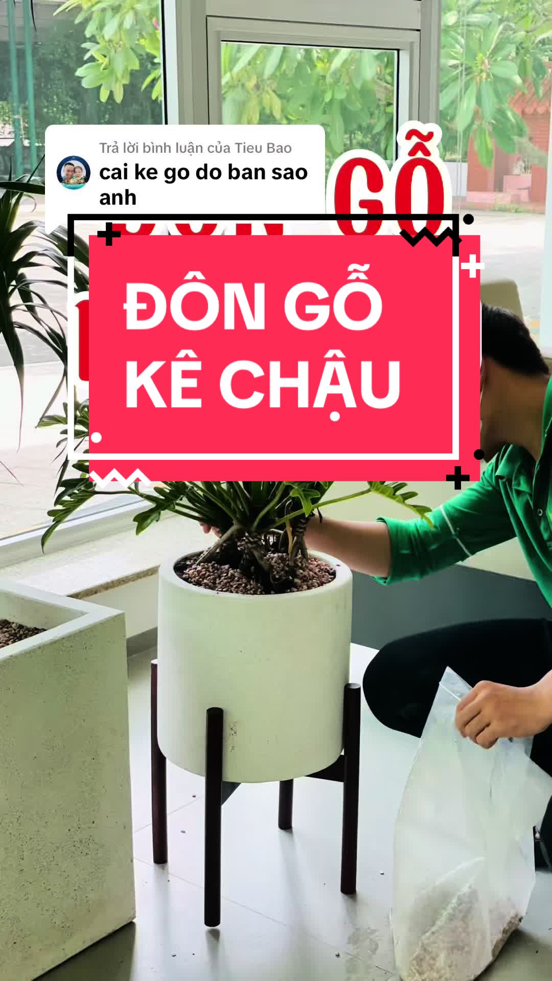 @C&acirc;y Xanh Phong Hồng