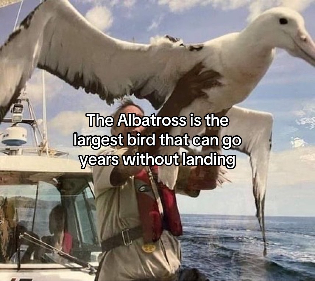 @s