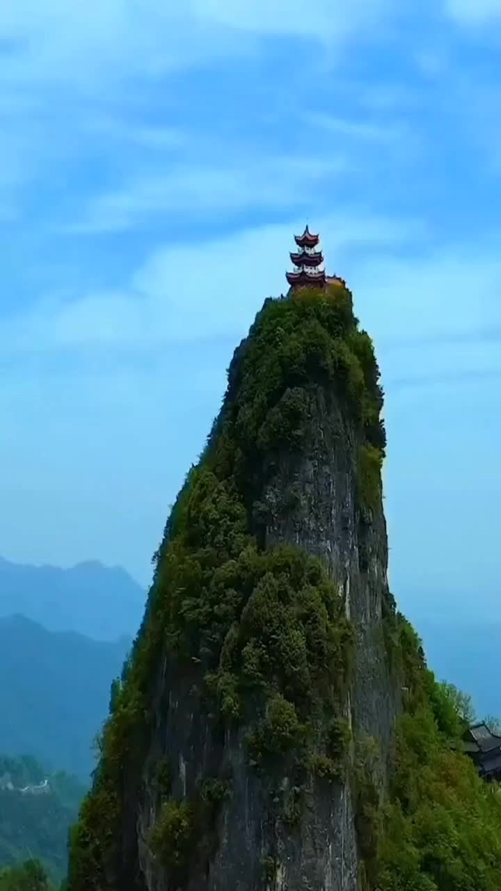 @liongho
