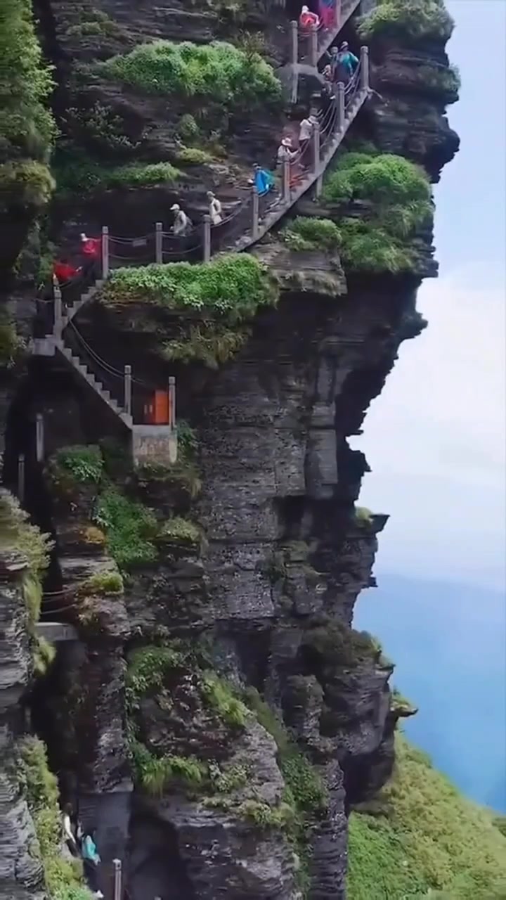 @liongho