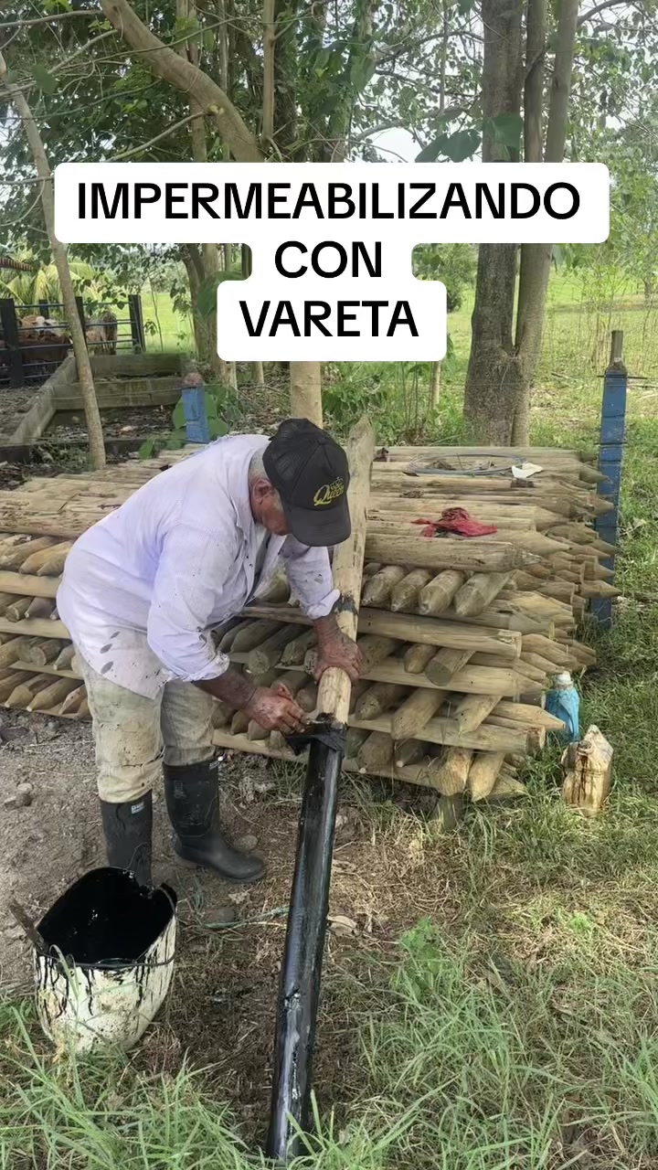 @Rehagronegocios
