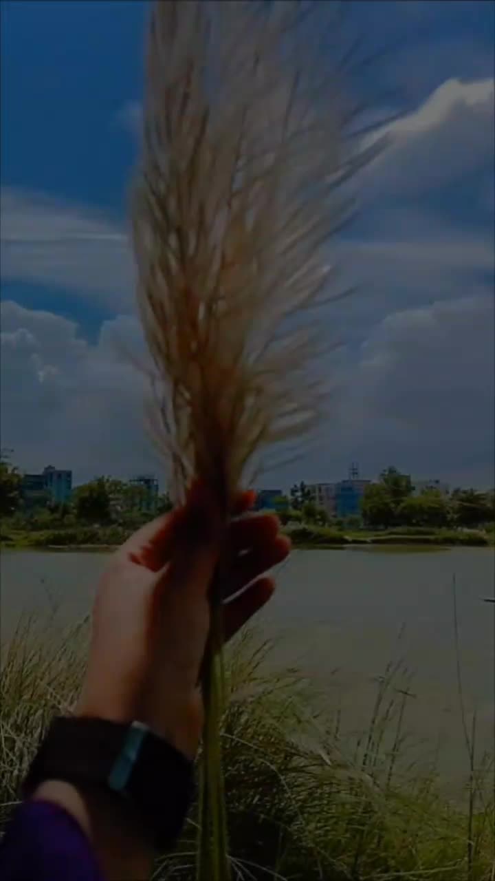 @Nilima jui2.2
