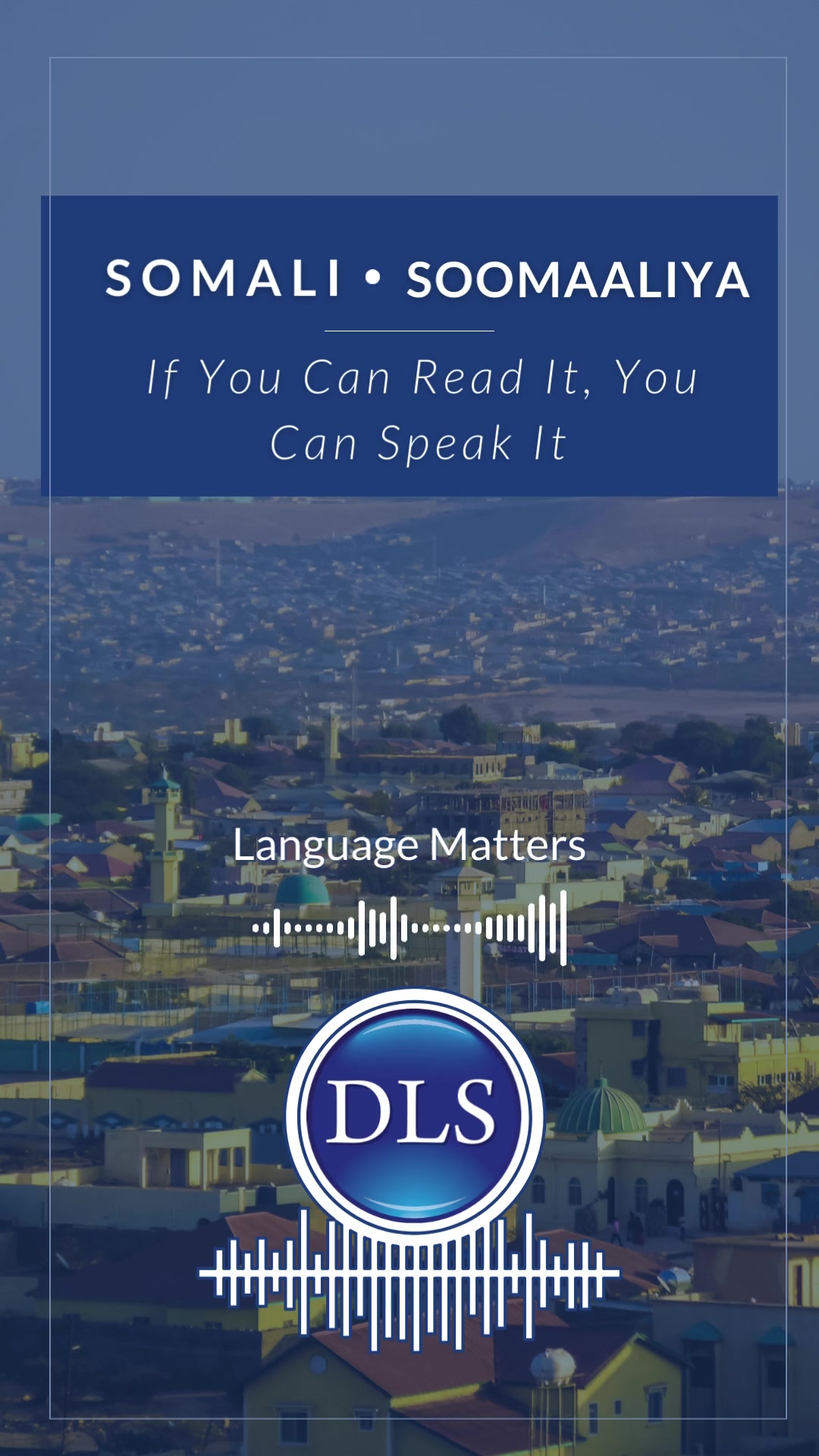 @Diplomatic Language Services