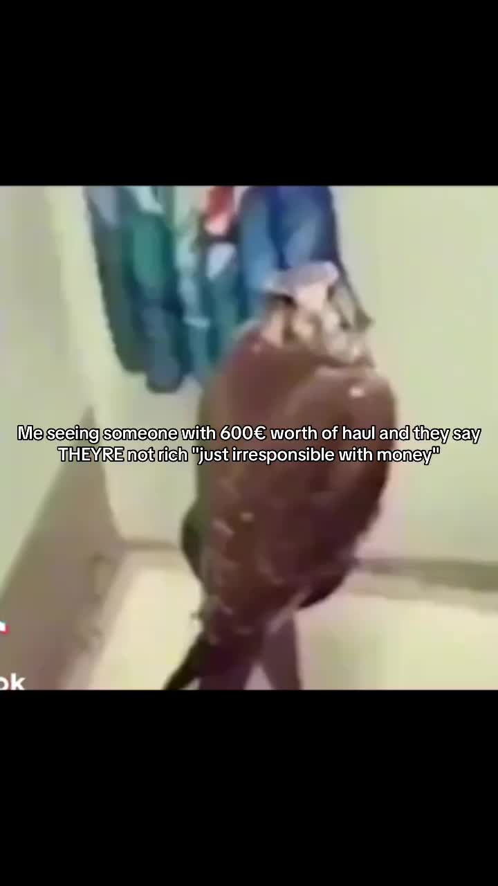 @Pom🇰🇵