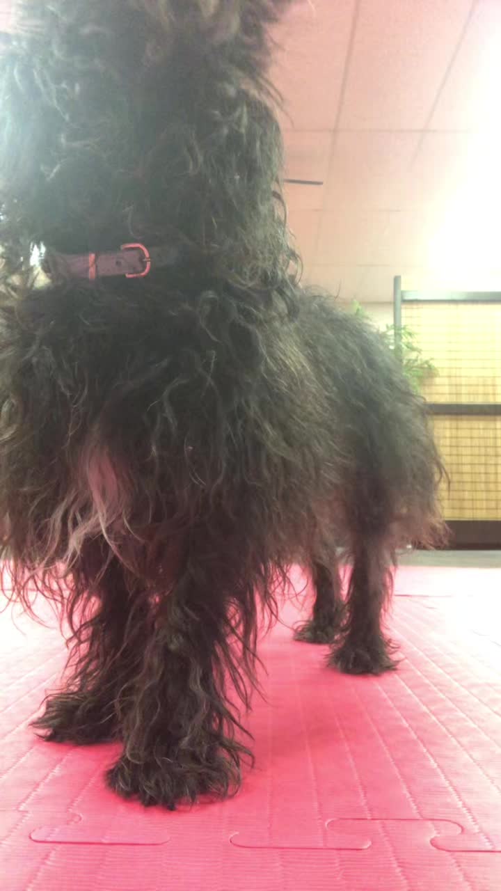 @linksmartialarts