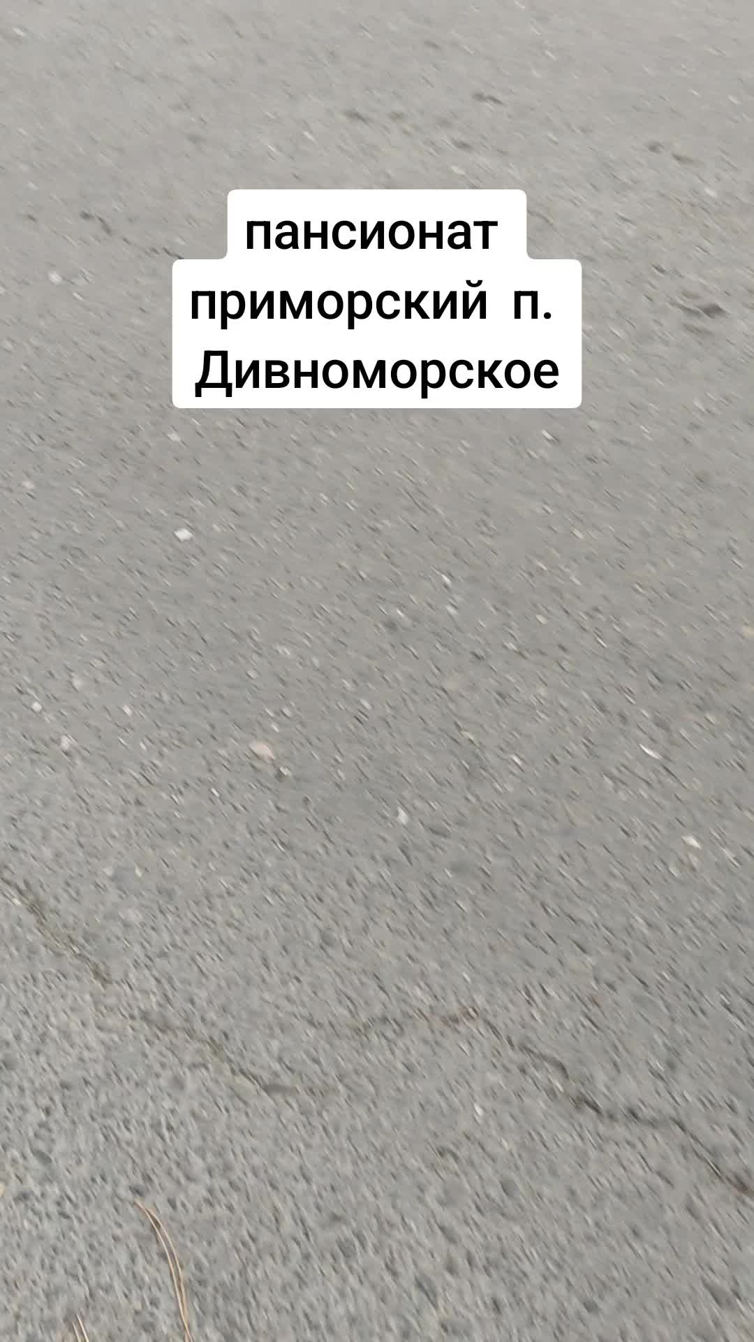 @Людмила Сюнина