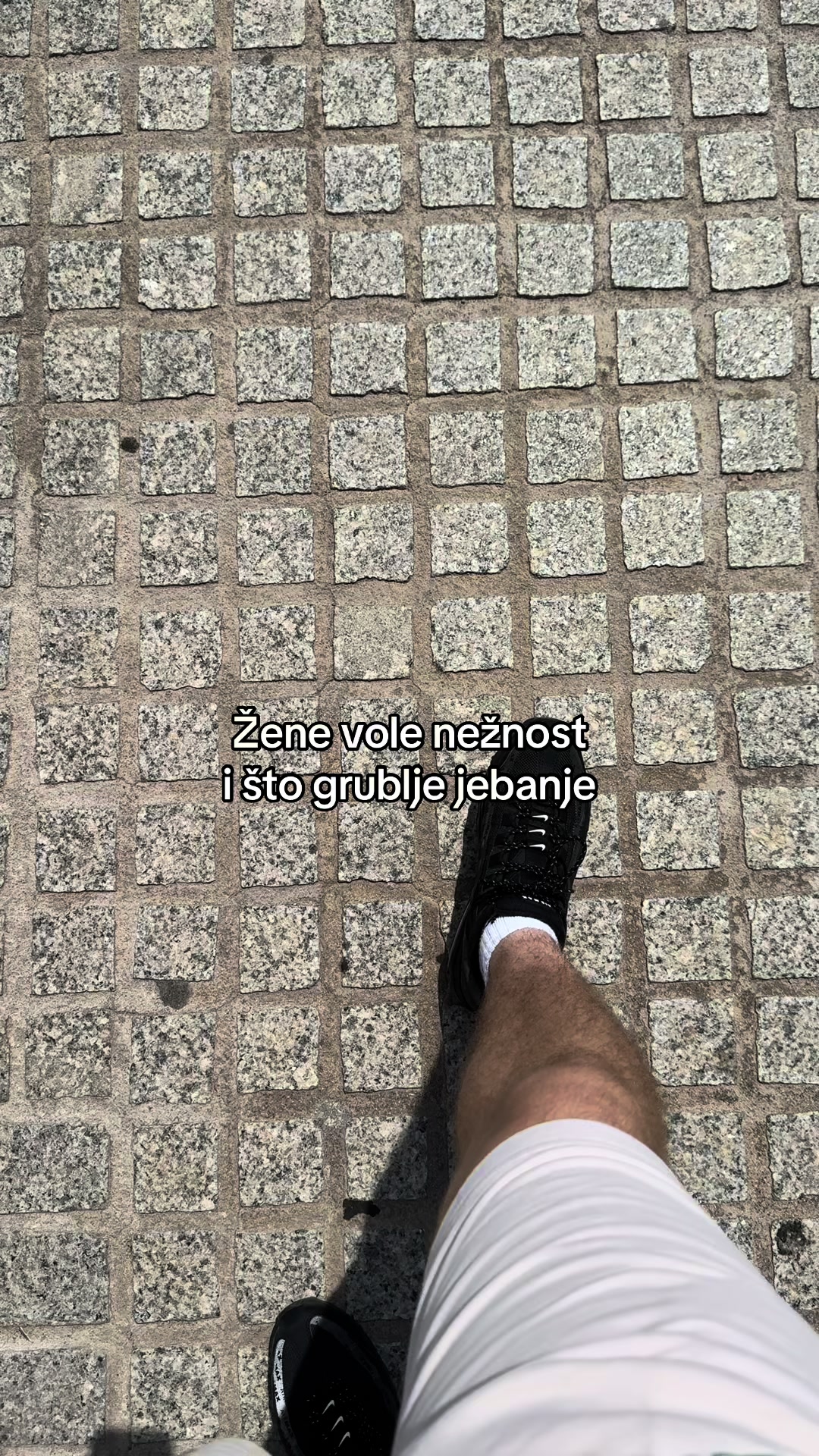 @dignichipbrate