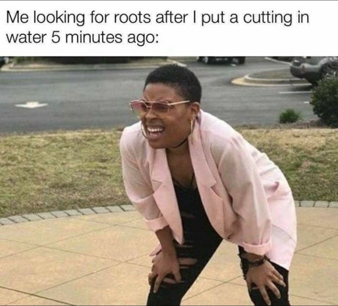 @JoshuaWayne