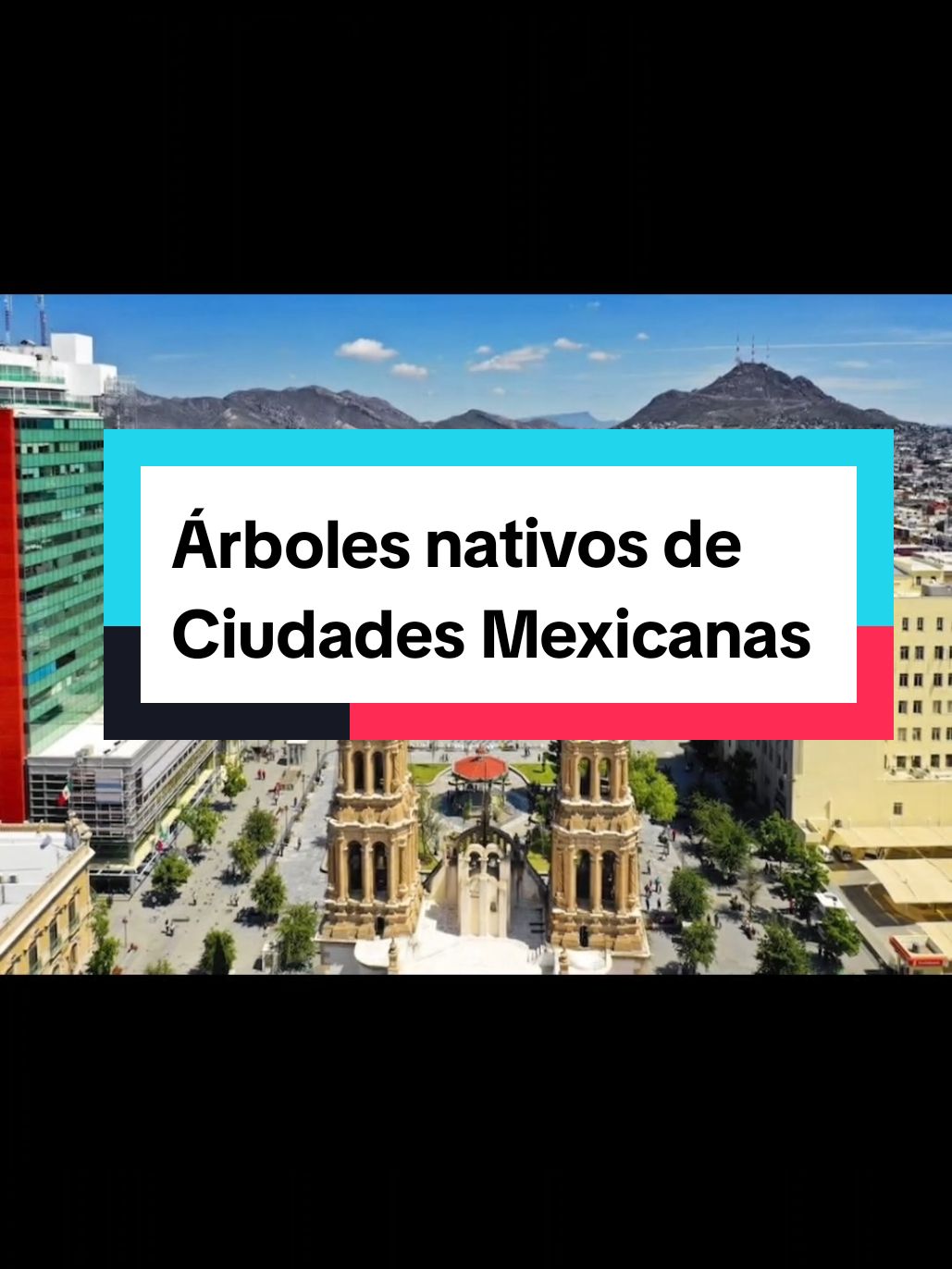 @Ecoversi&oacute;n