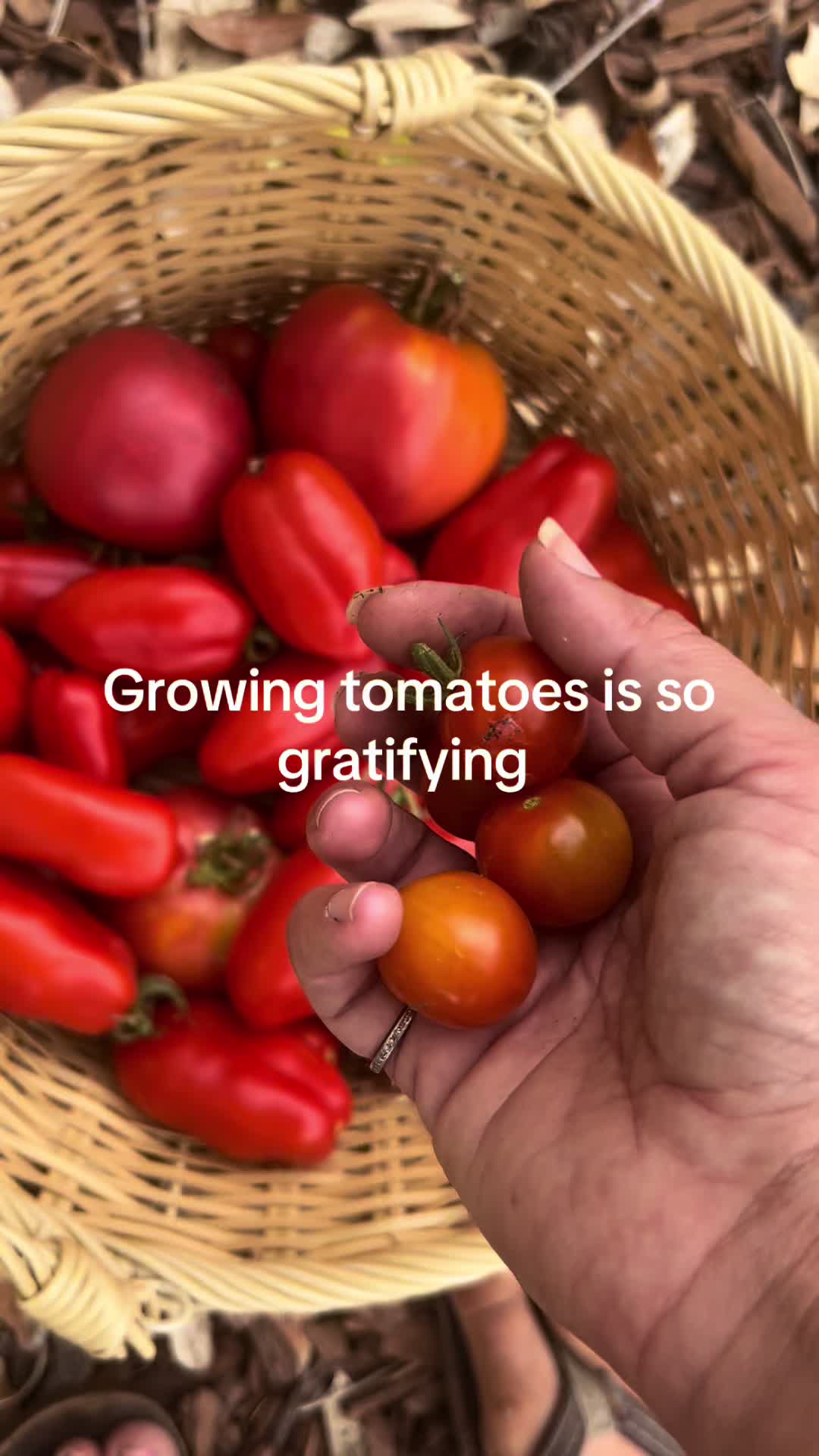 @gardeninginoside