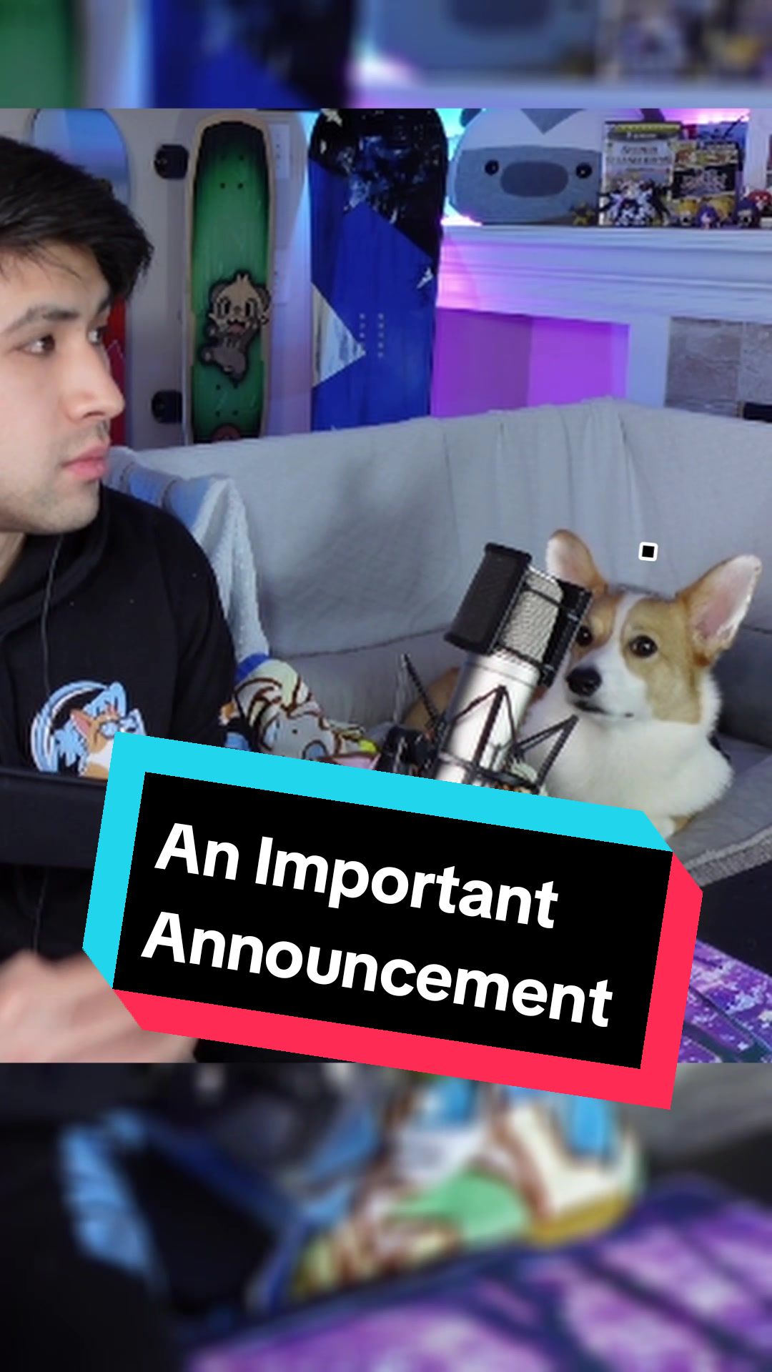 @Protocorg | Twitch Streamer