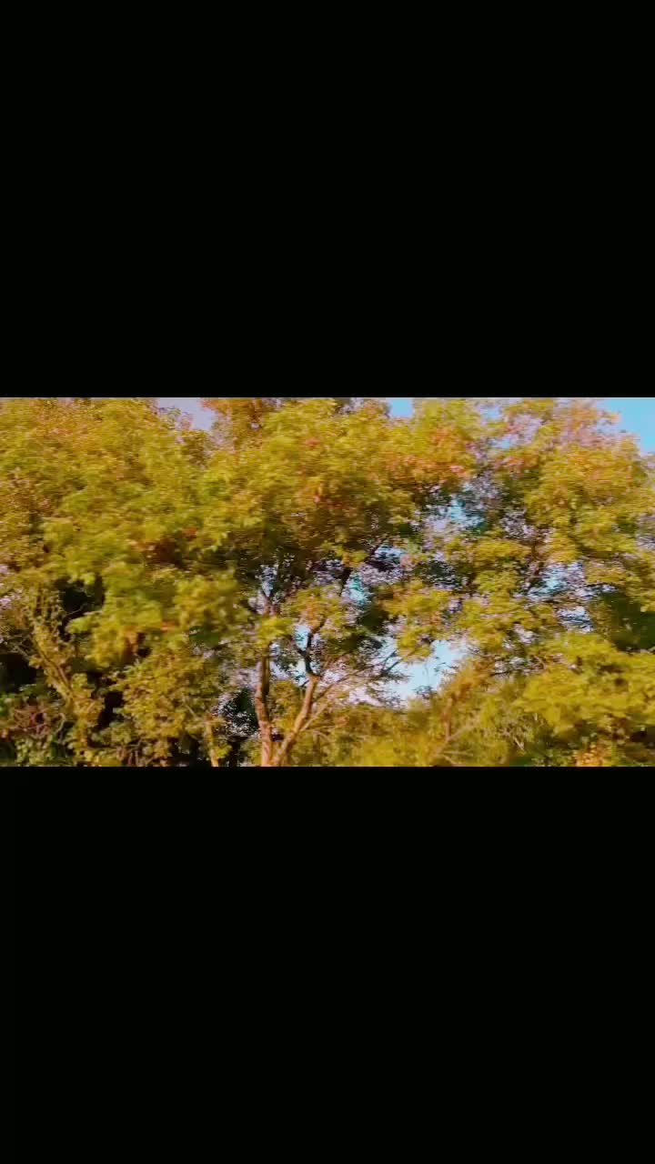 @crazy_town__