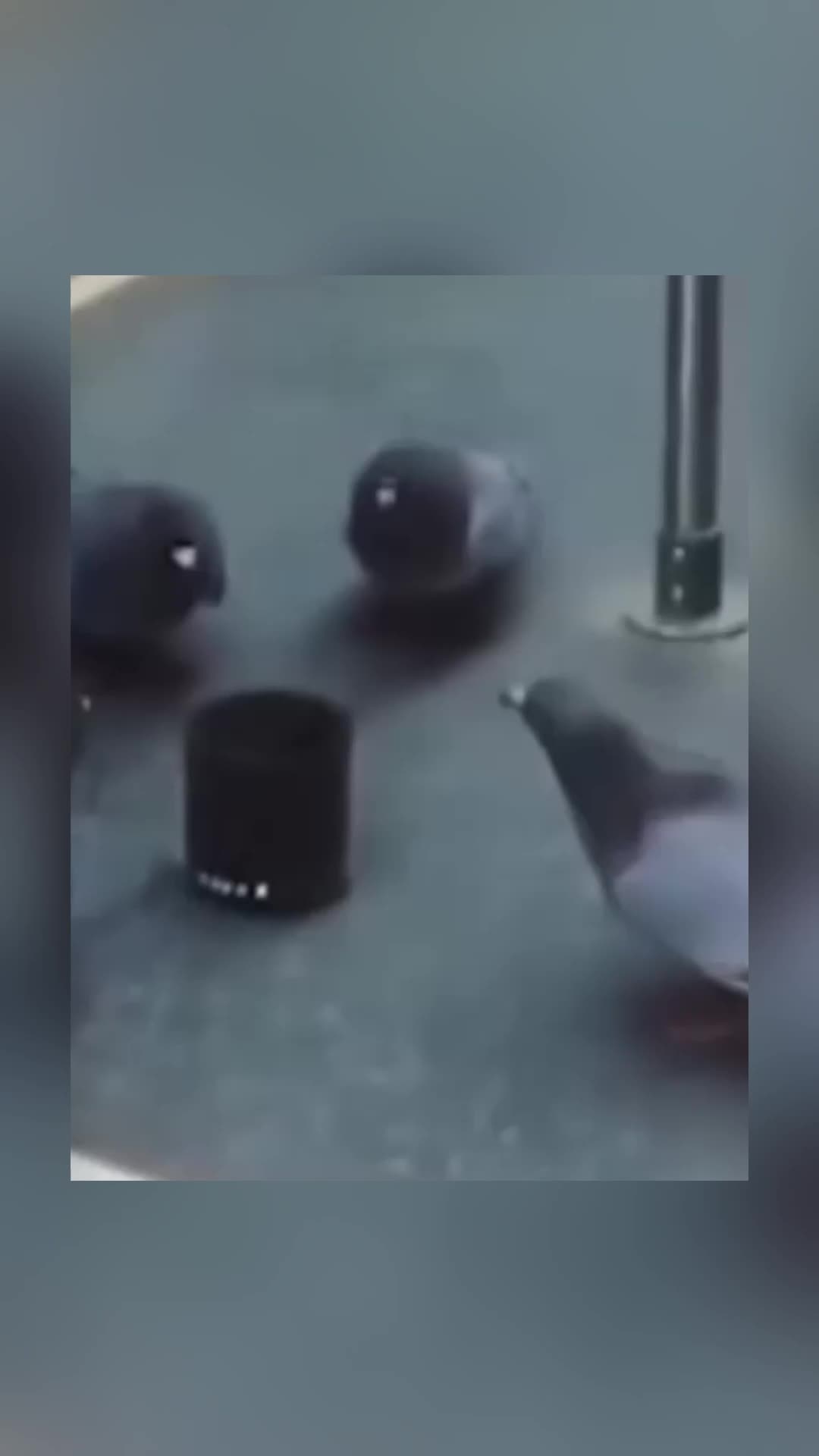 @ThemenZumNachdenken
