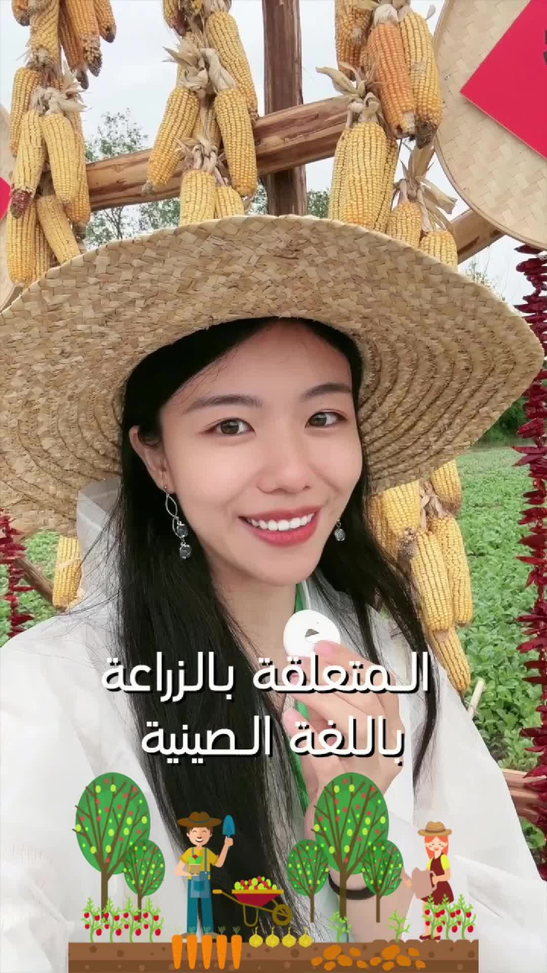 @مونغ كو🇨🇳MK