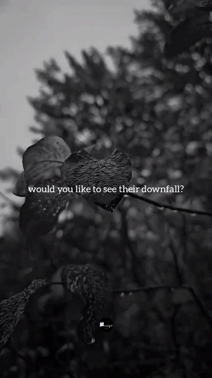 @Muslimat | مسلمة