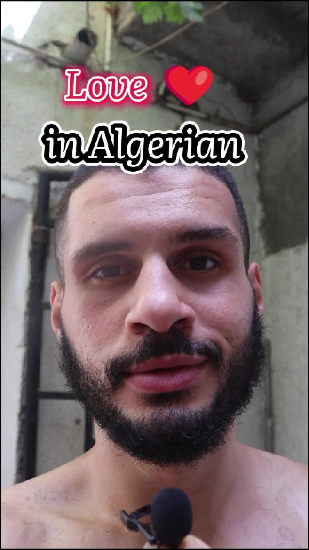 @LearnAlgerianDarja