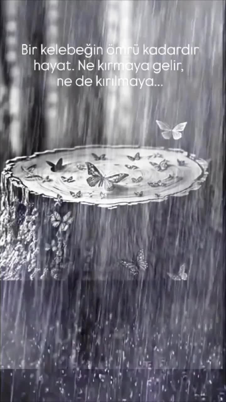 @𝓔𝓫𝓻𝓪𝓻 36366
