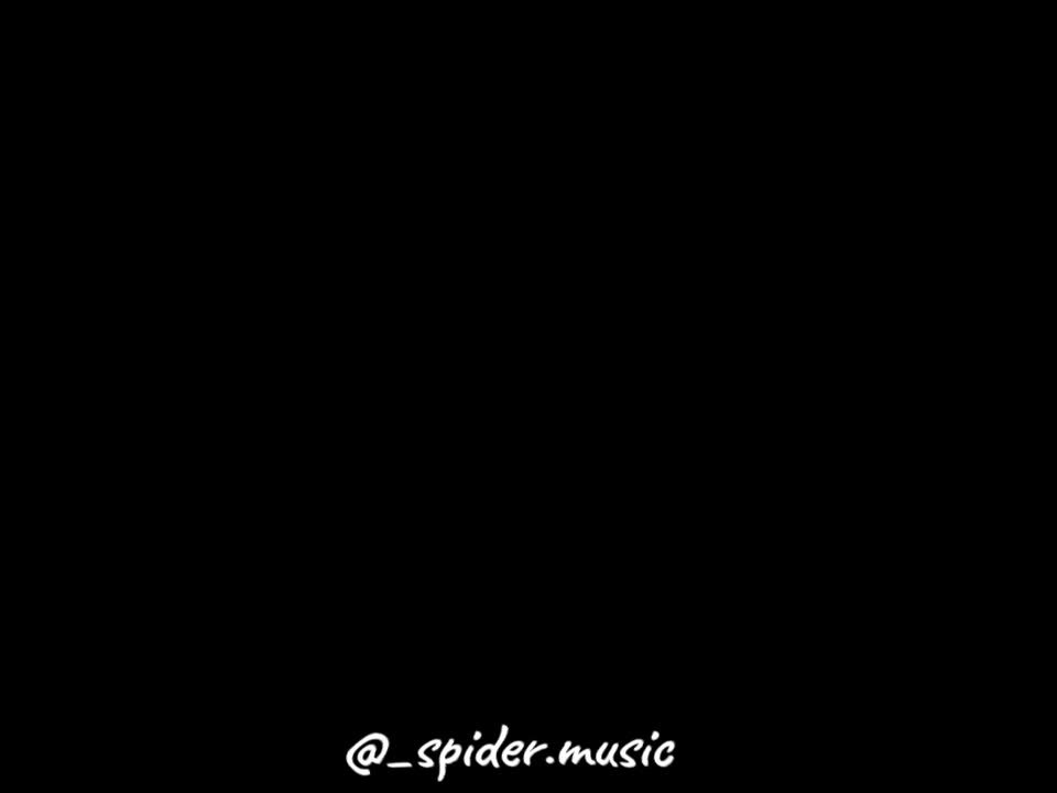 @spider.music