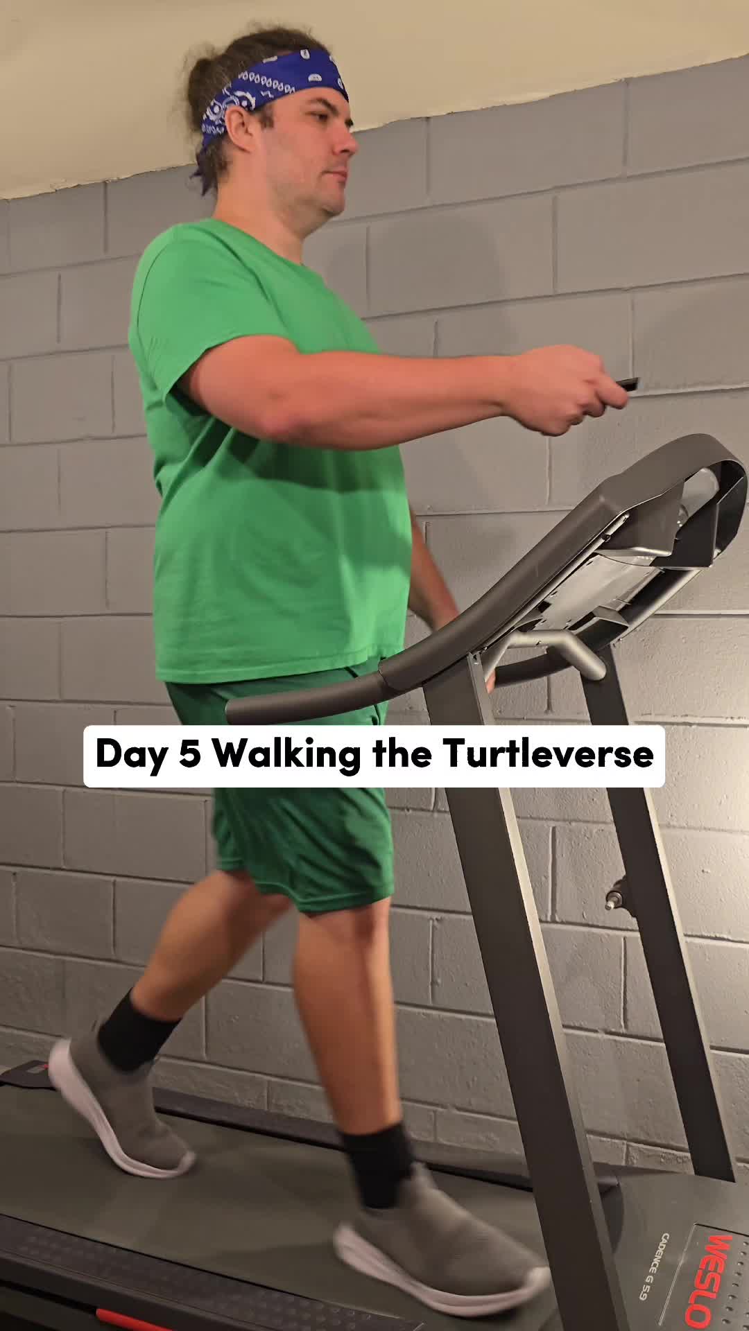 @Walking the Turtleverse