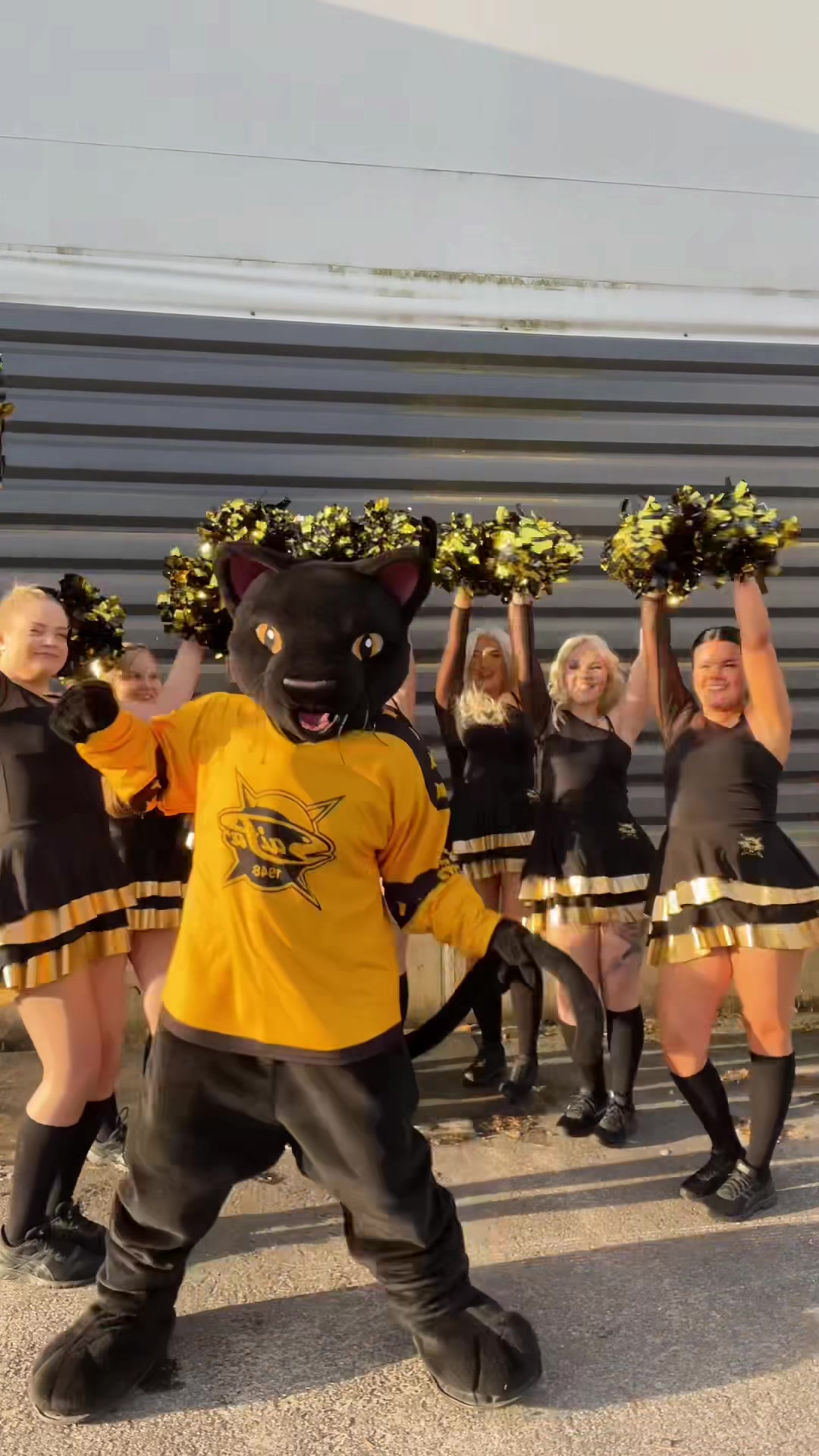 @SaiPa Cheerleaders