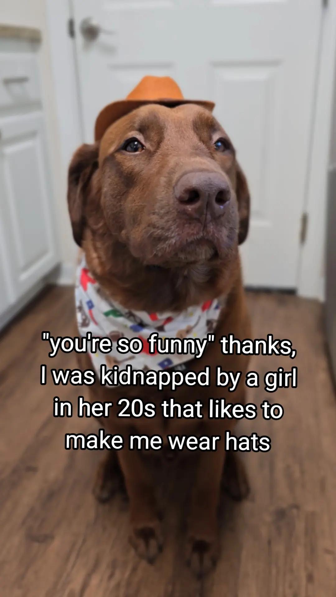 @hankinthehat