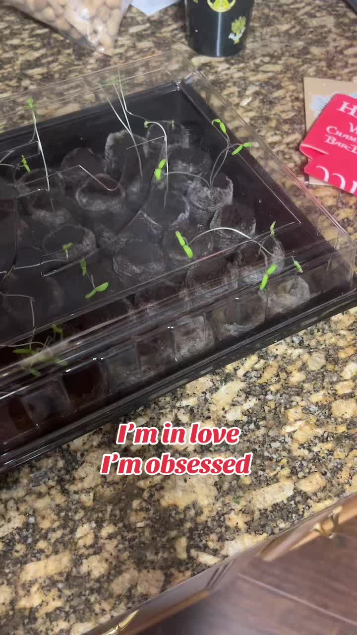 @Natalie♥️Cooking♥️Doggies
