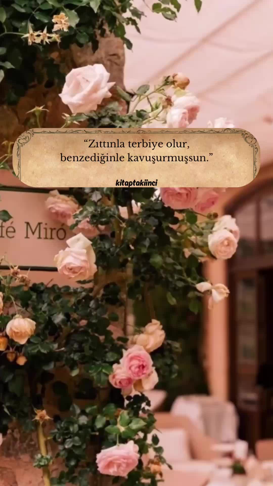 @Kitaptakiinci