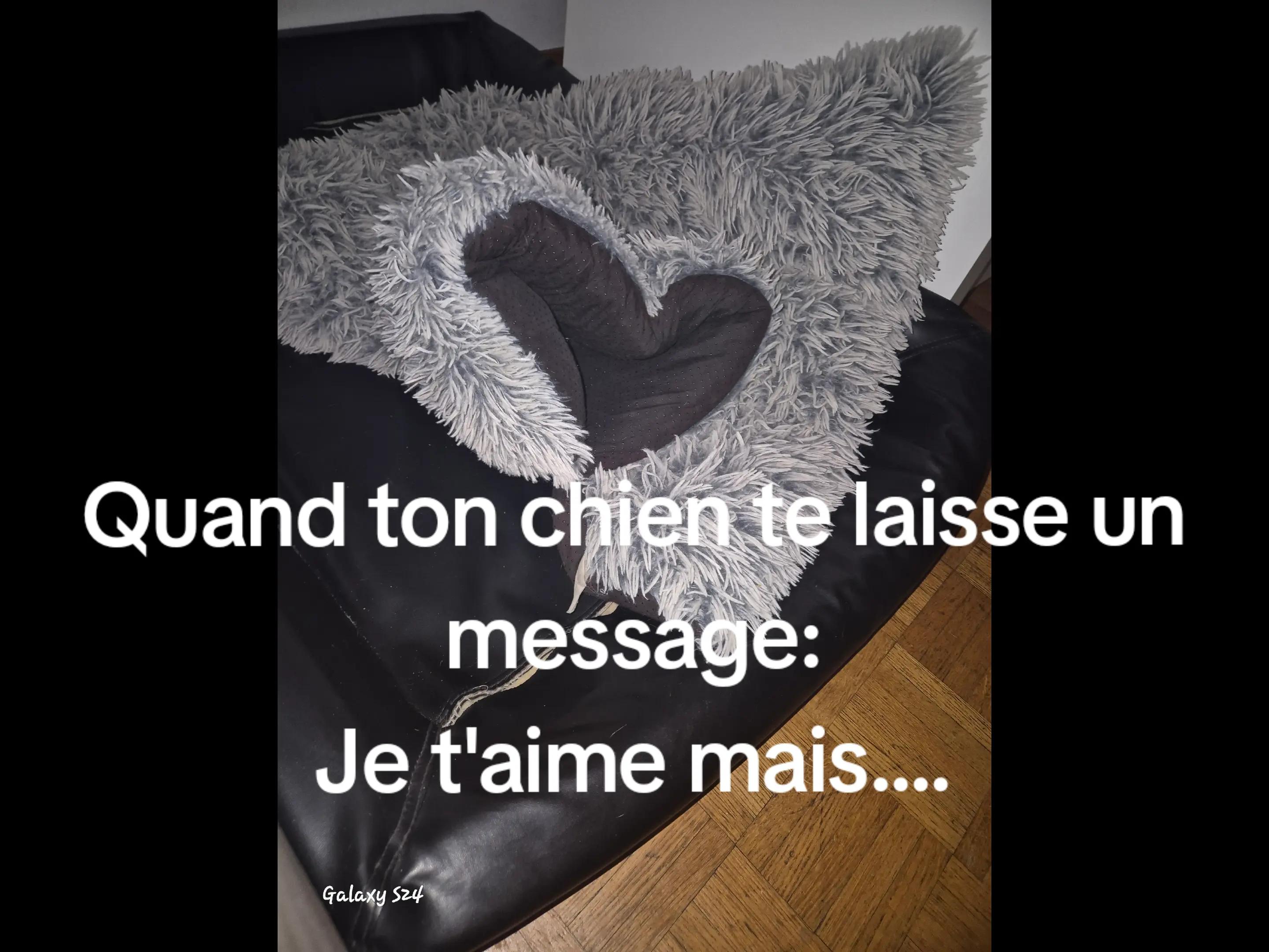 @Tatjana Millan