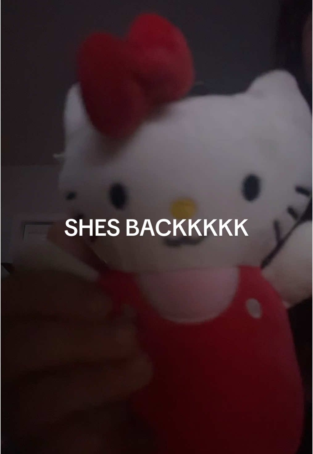 @hello kitty 😼