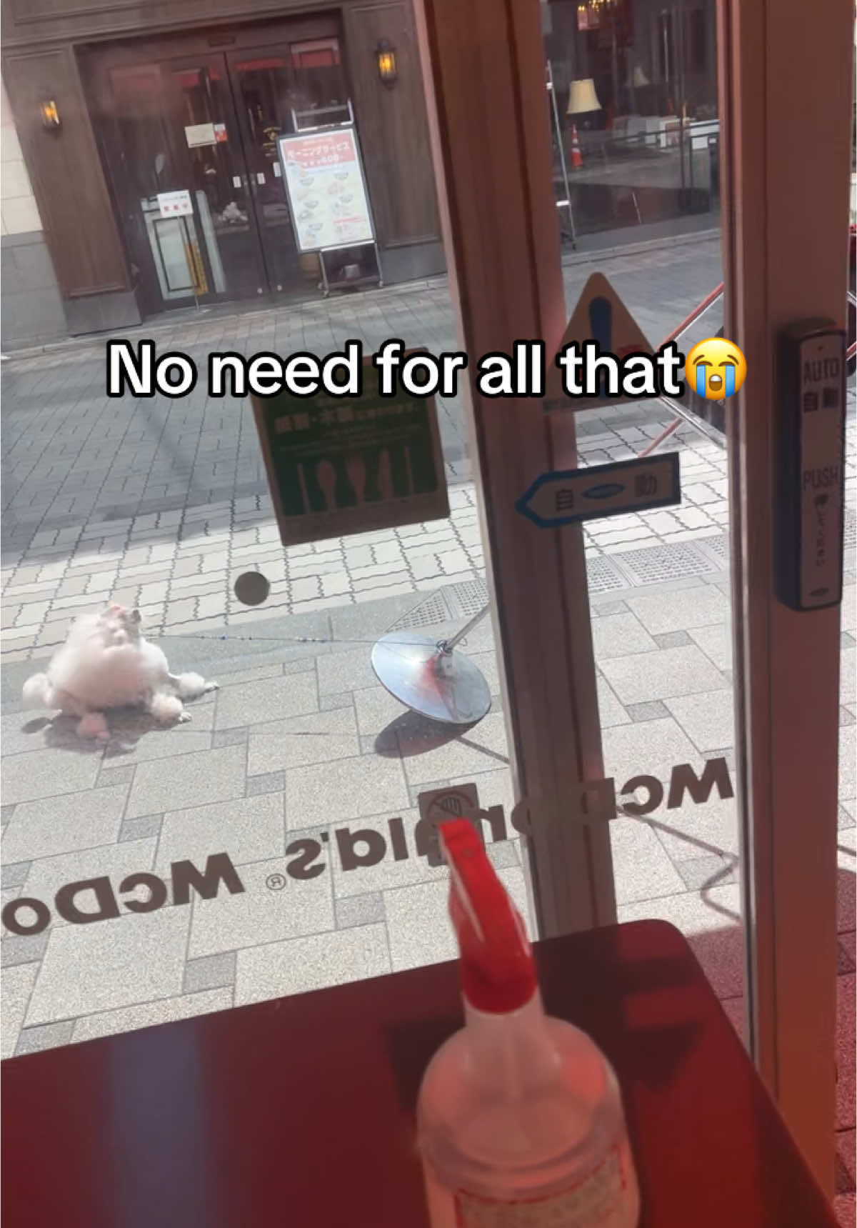 @camdonzclips