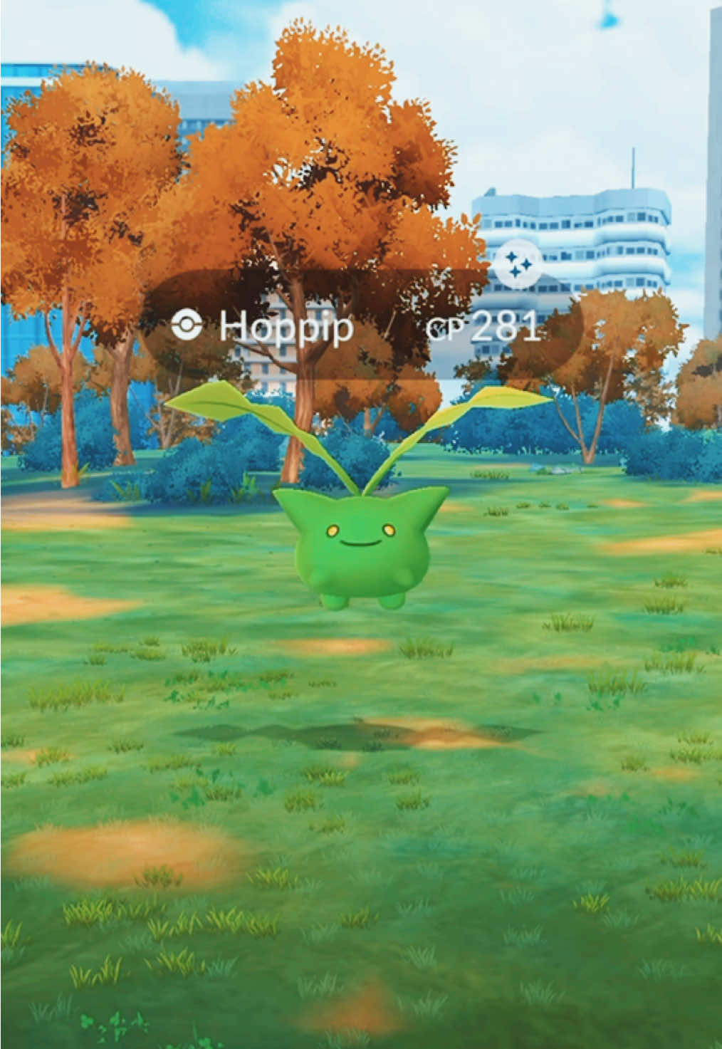 @pokebloxy