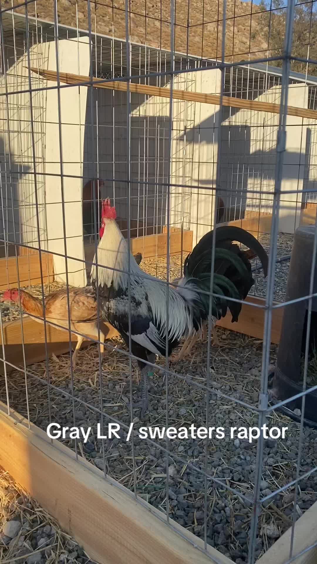 @A.MENDOZA.FARM.USA 74HWY