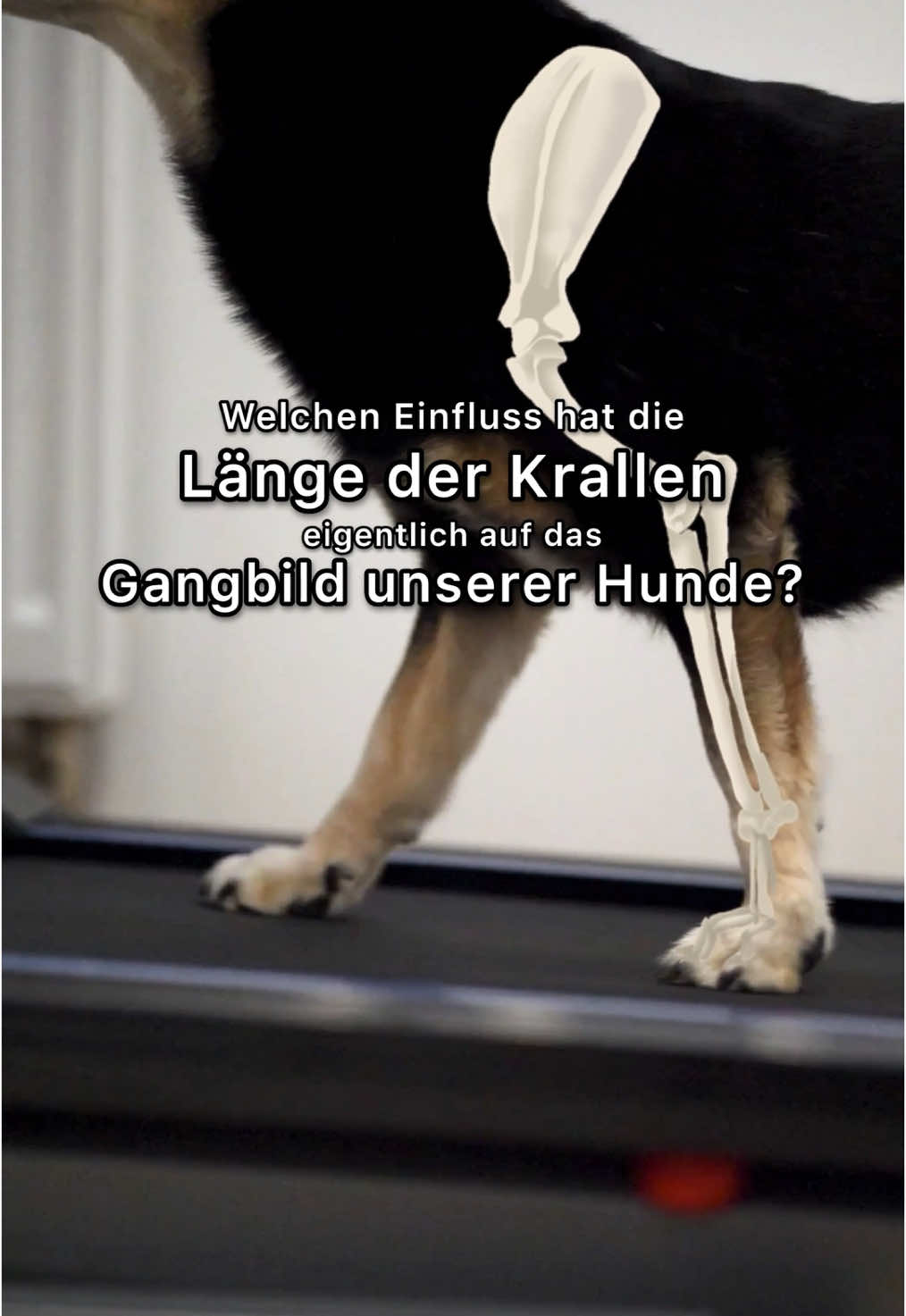 @Kathi