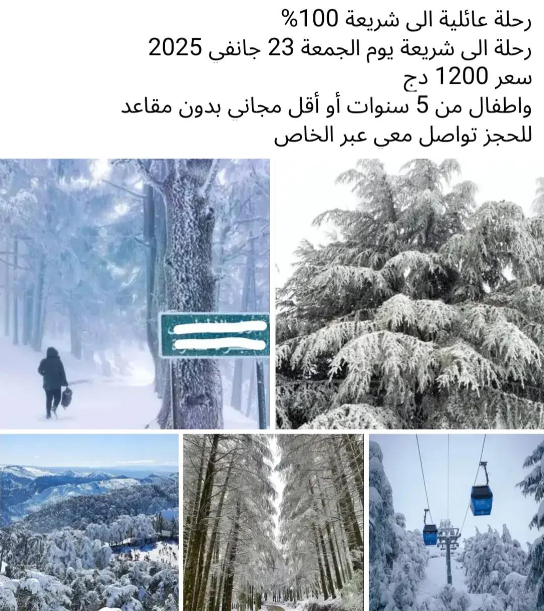 @Rayan.guetni.