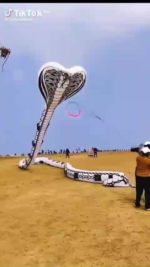 @(♡&Atilde;&Yacute;&Euml;&sect;HA♡)(BĪĻĖ 999 ĢŔĪĹ)👰&Acirc;👰