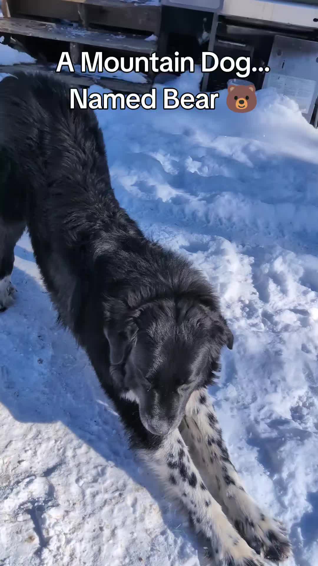 @Colorado Genx