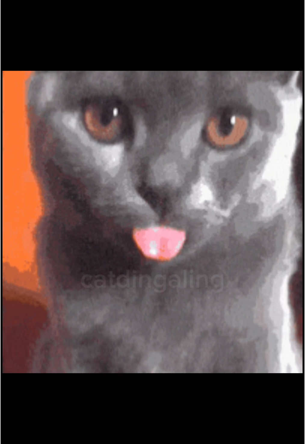 @catdingaling