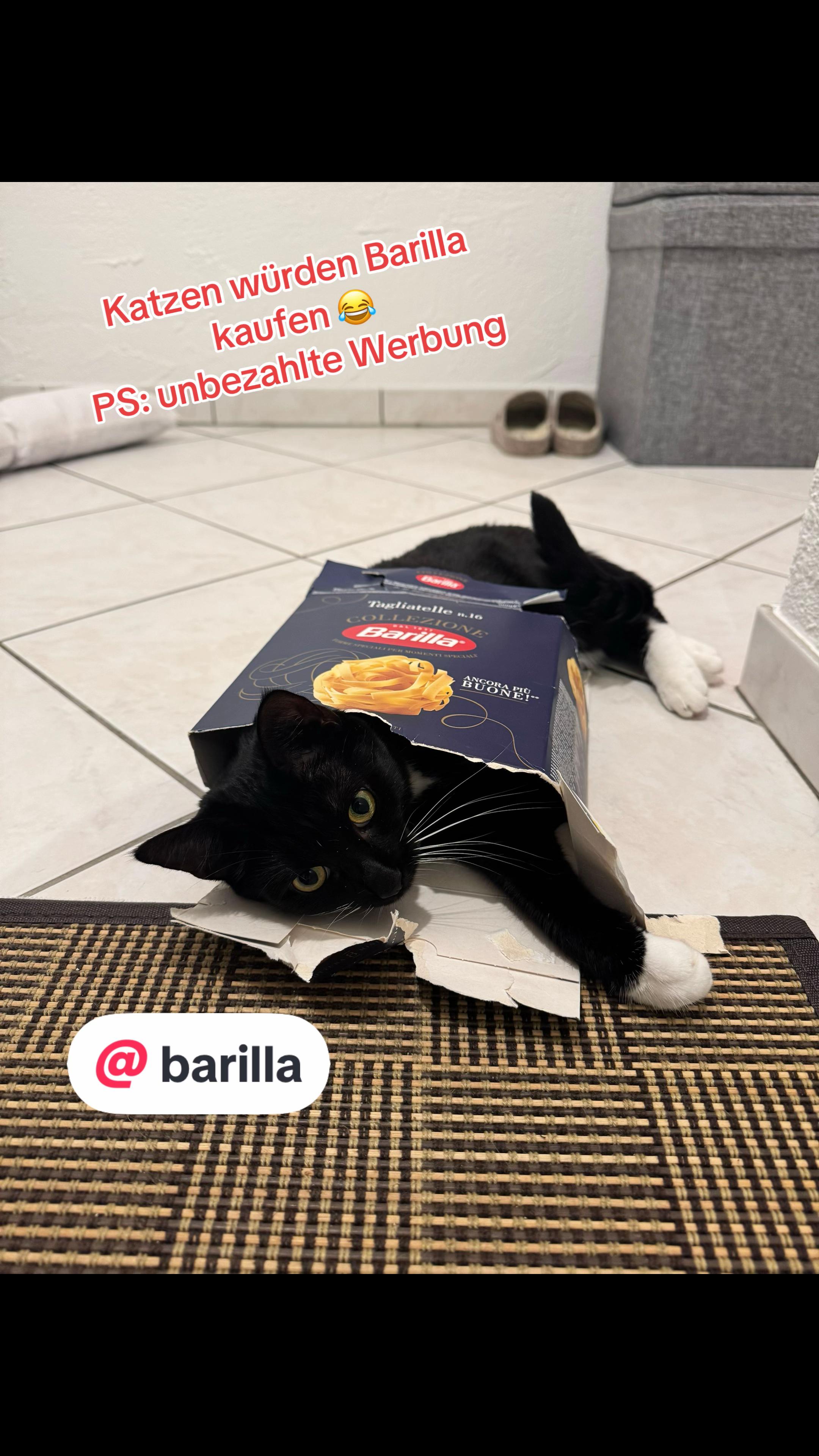 @hörnchen1987🥐