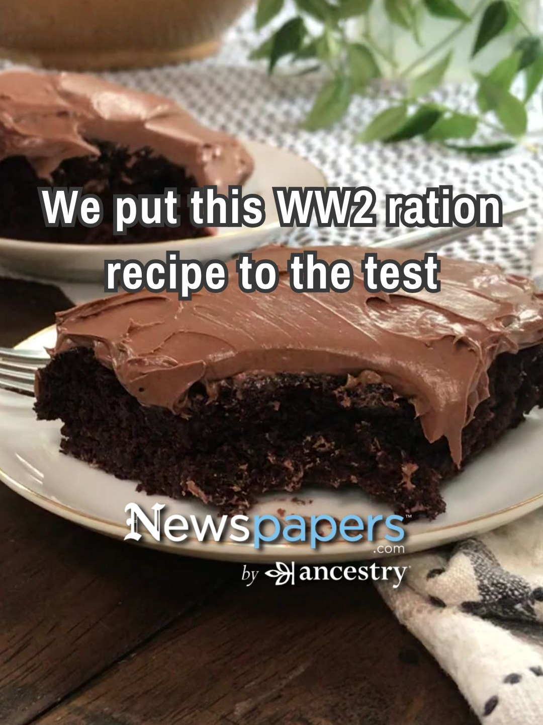 @Newspapers.com