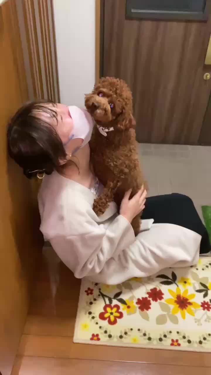 @うちのぷぅ