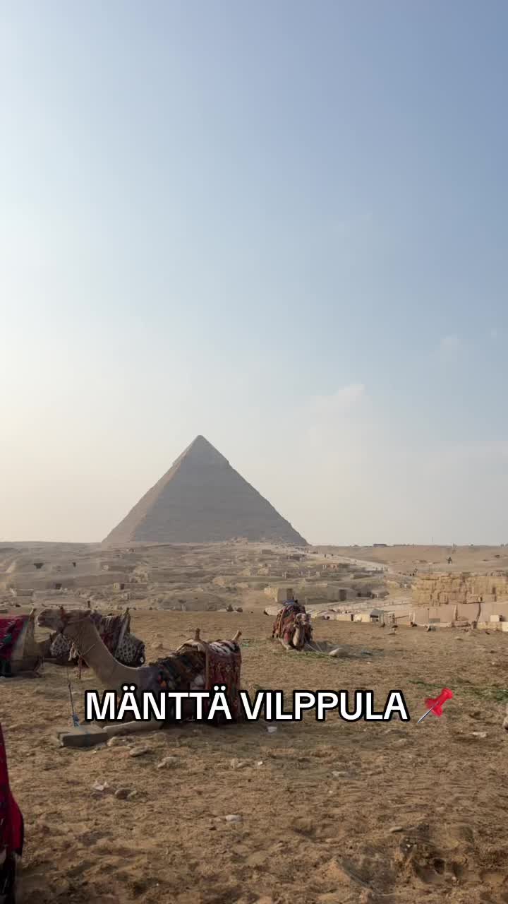@alexravantti