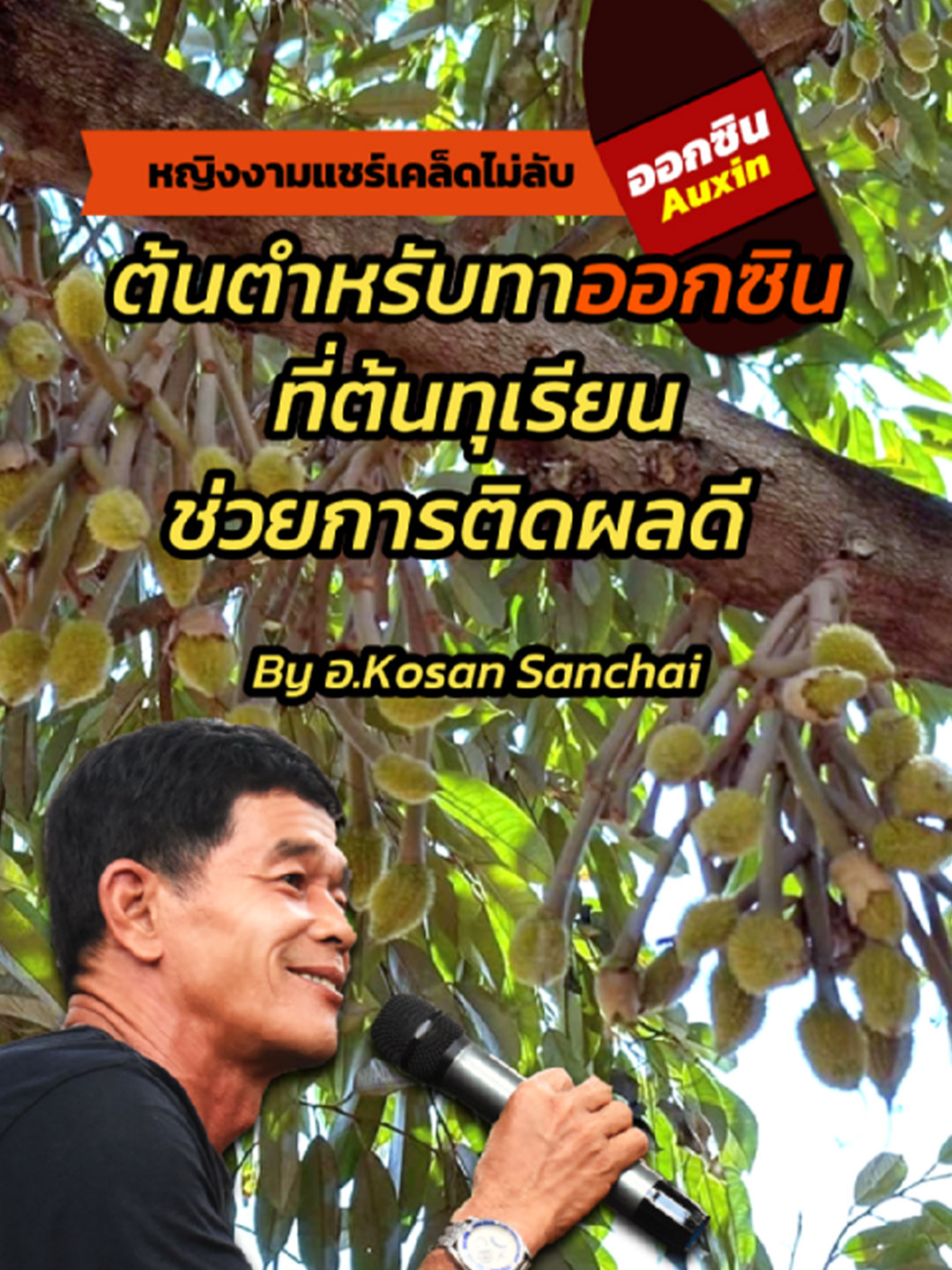 @trayingngam