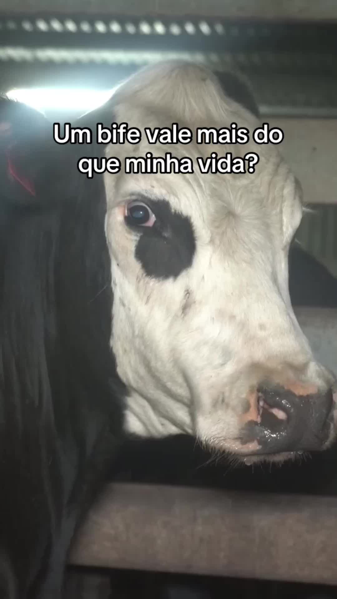 @Carne &eacute; cruel