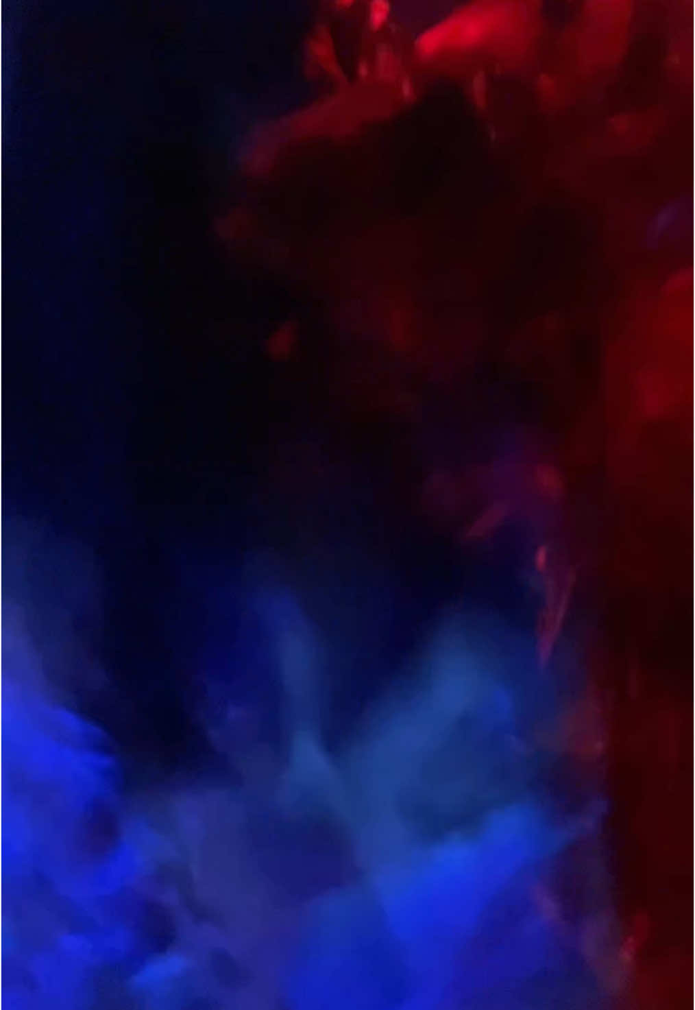 @vishvajfj04