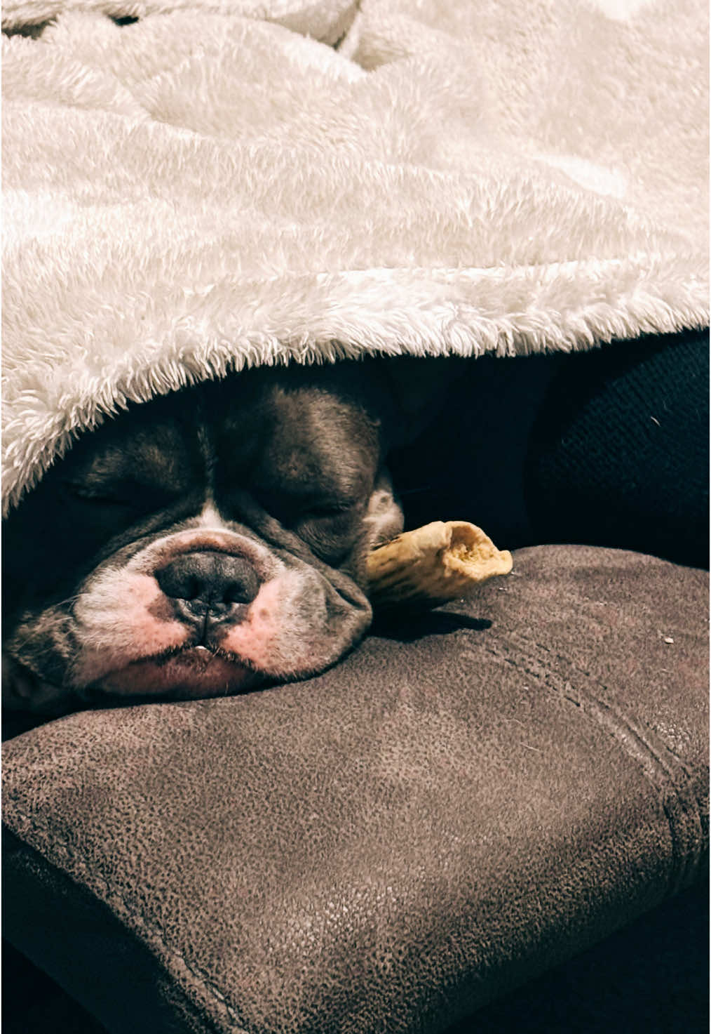 @BecomingBalancedWithVic