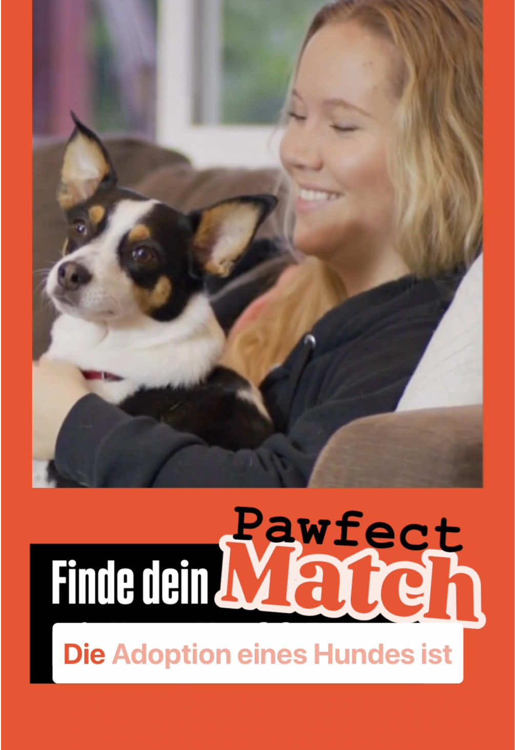 @Pawfect Matches