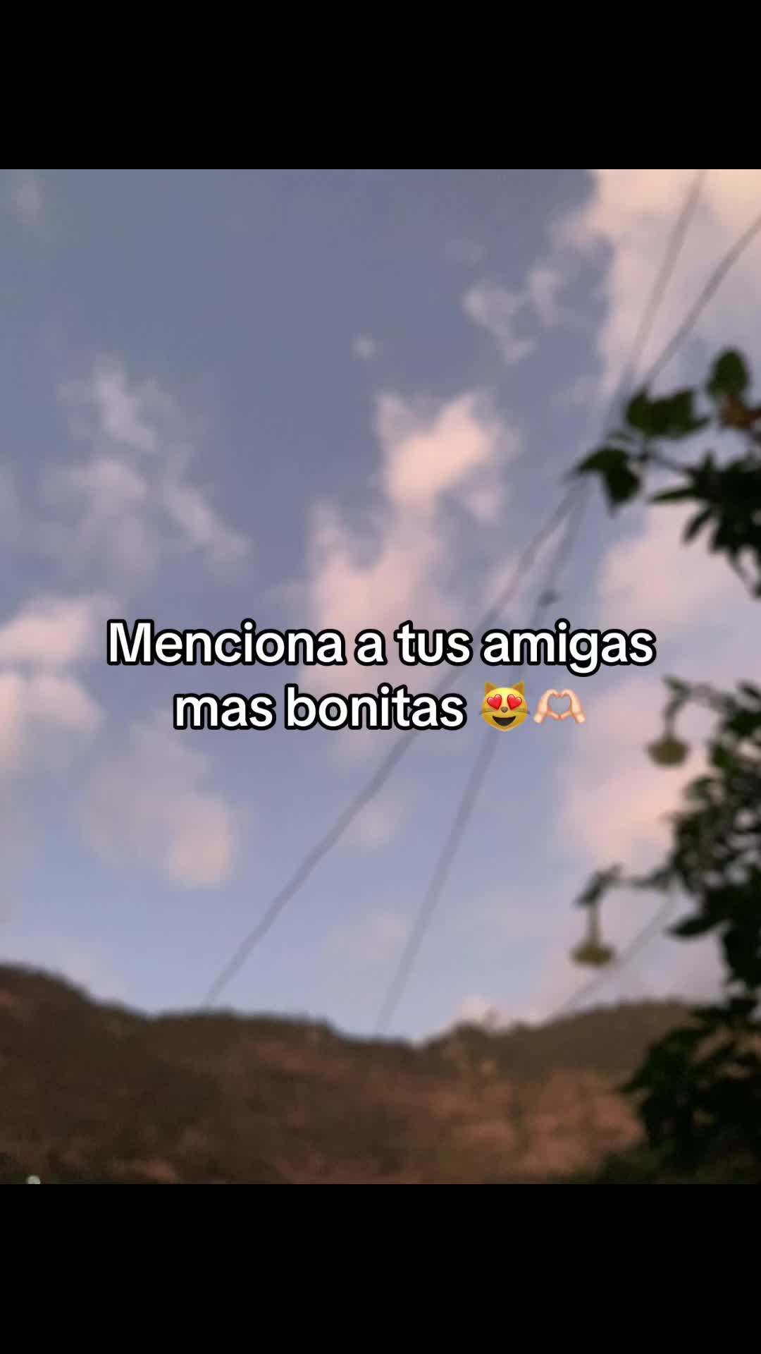 @🌓🐢 ELISENDA 🌓🐢
