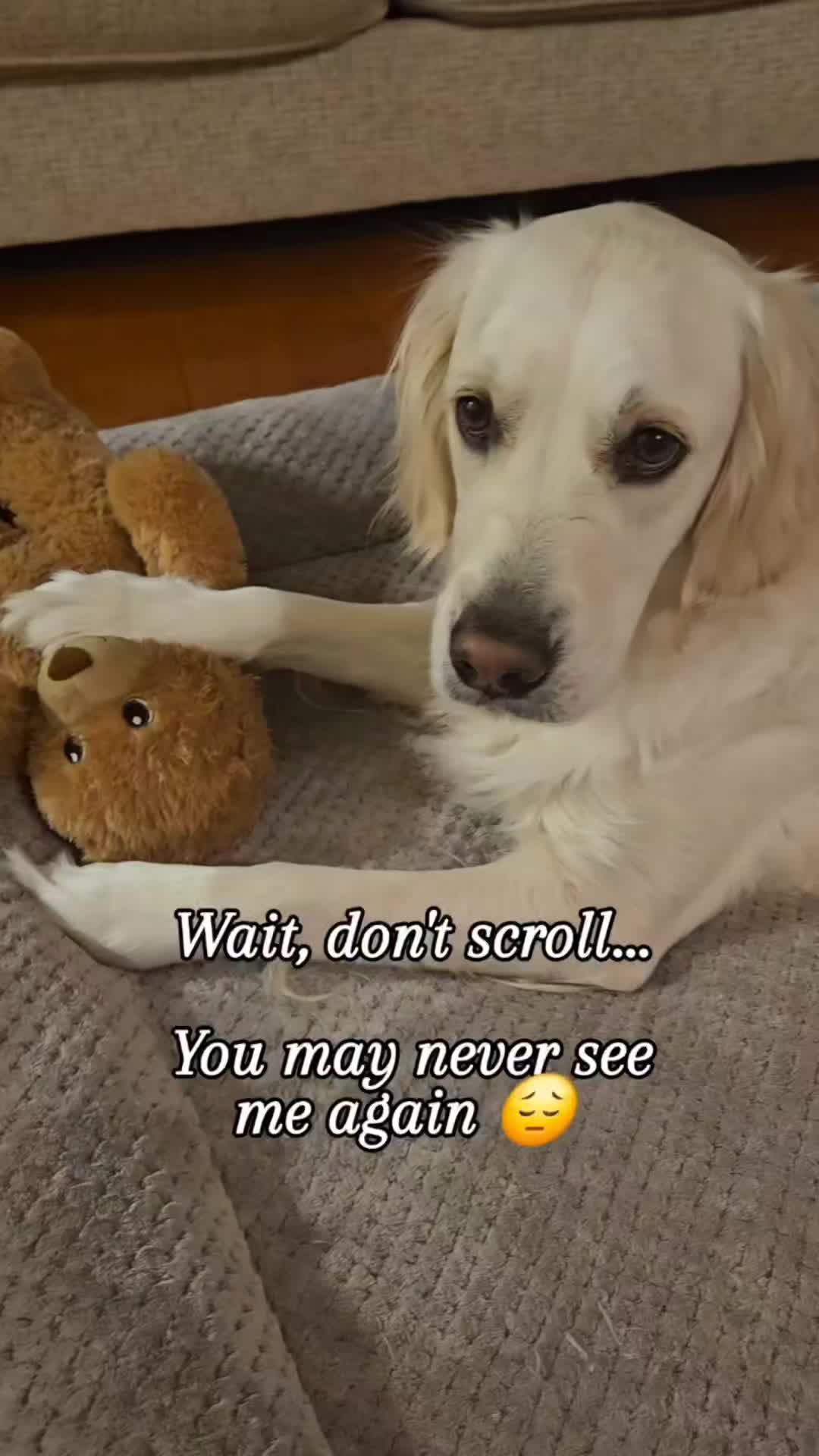 @MaxiTheCream
