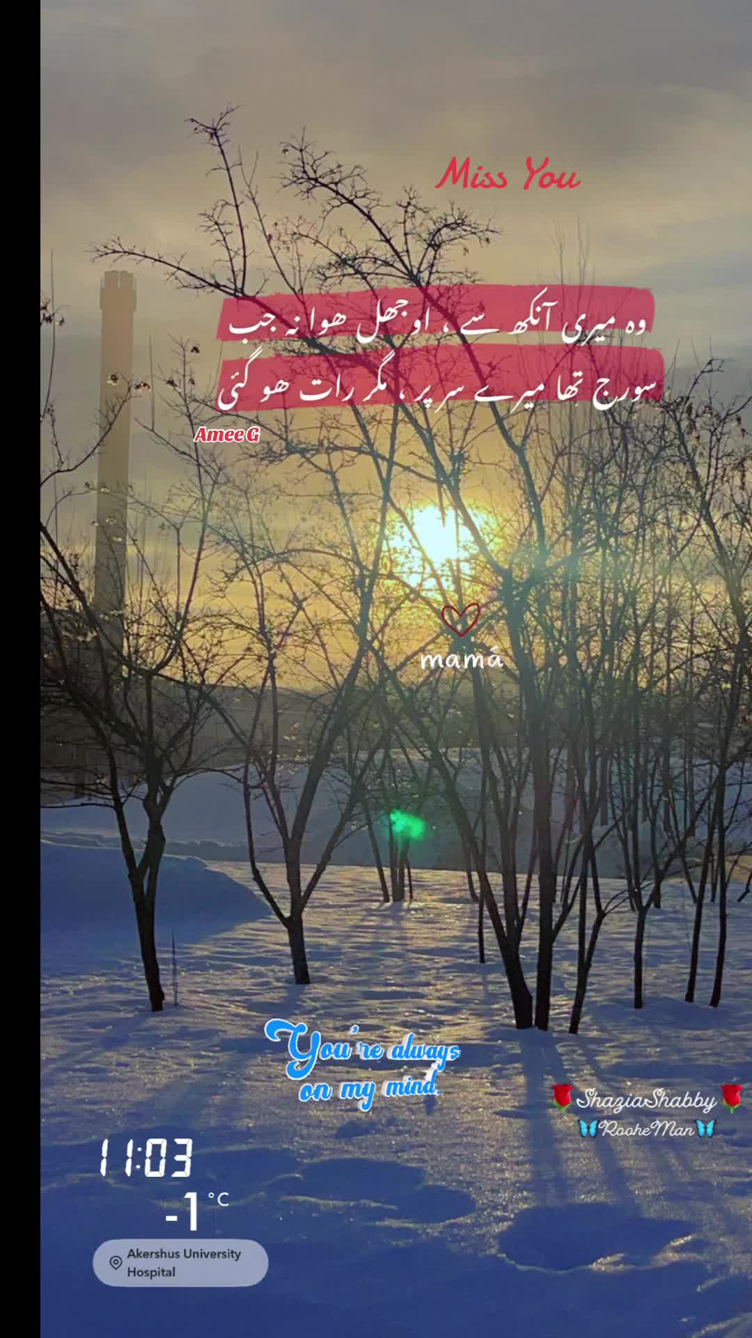 @Shaby&hearts;️✨سیپ