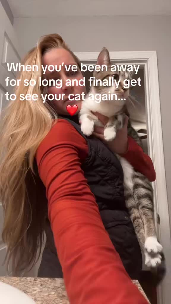 @mightycat83
